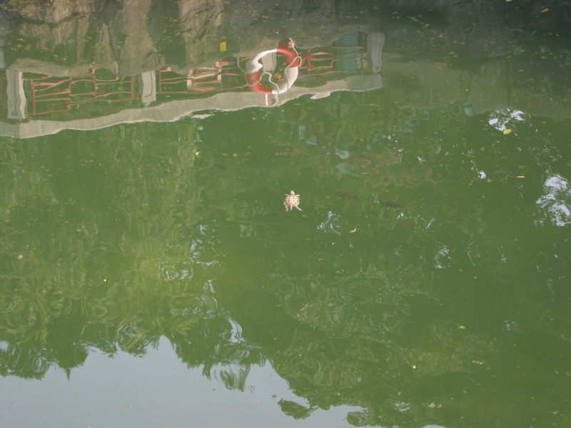 Hong Kong July 13 037