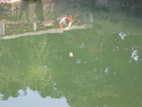 Hong Kong July 13 038