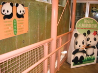 Ocean Park 015