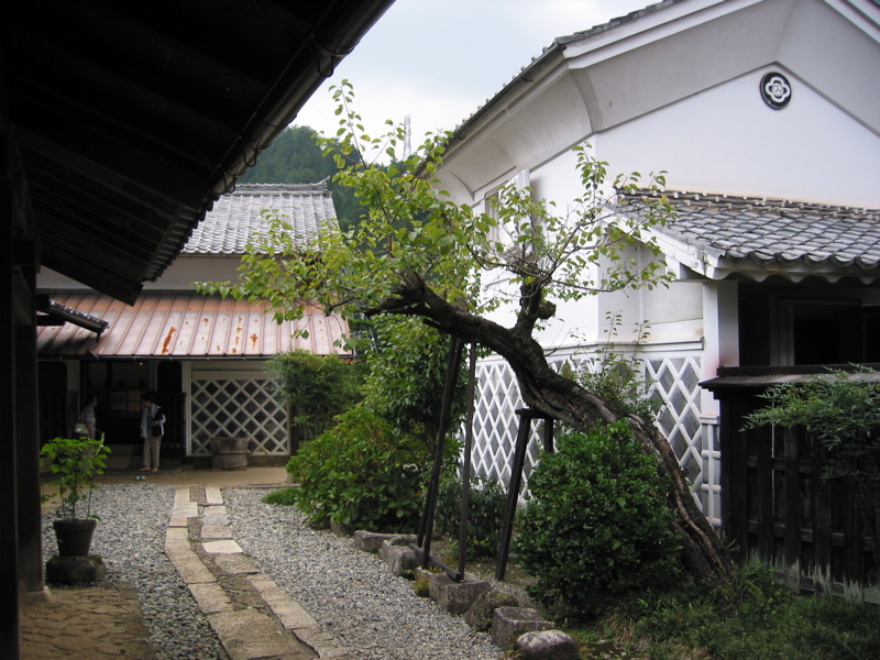 IMG_1881.JPG