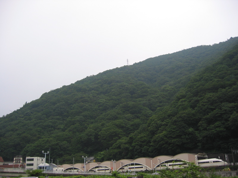 IMG_1138.JPG