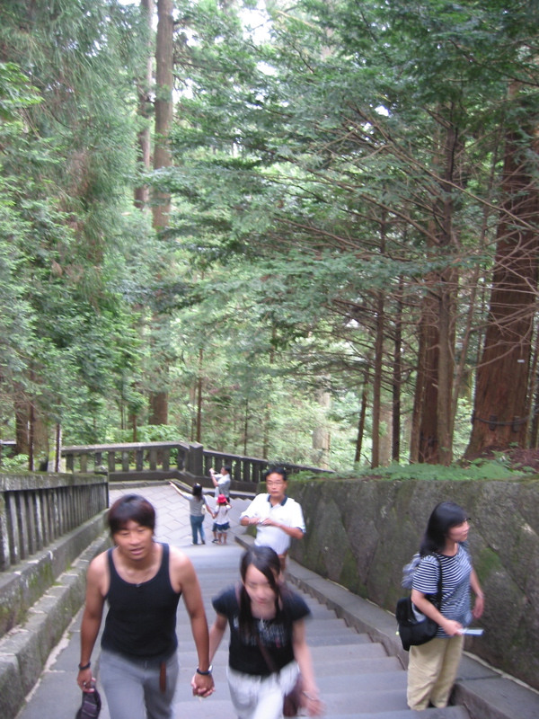 IMG_1217.JPG