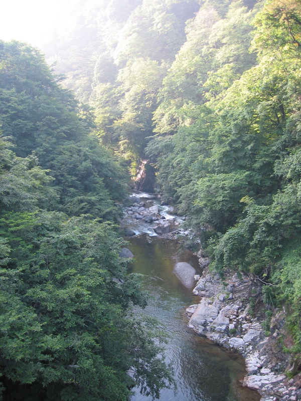 IMG_1288.JPG