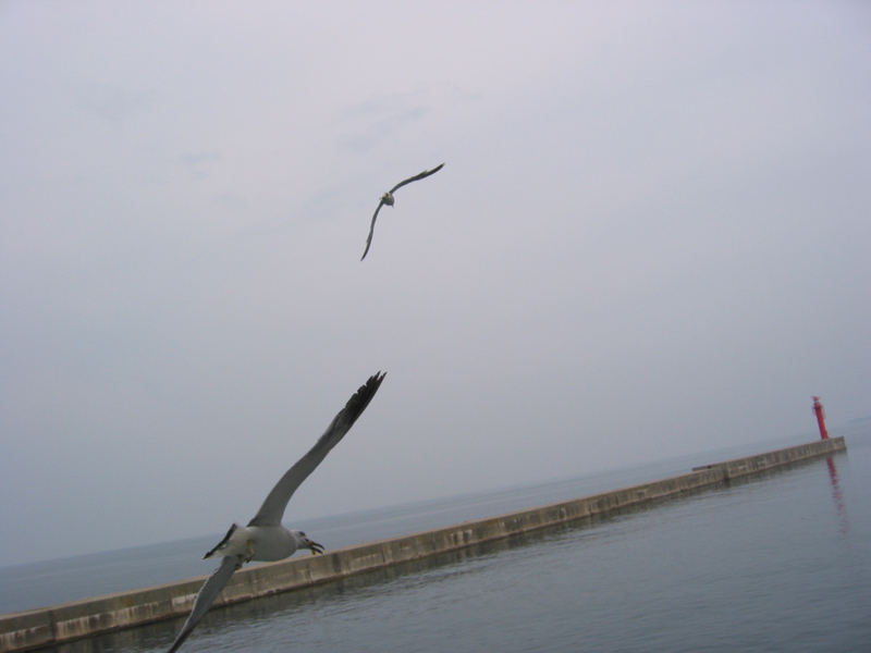 IMG_1598.JPG