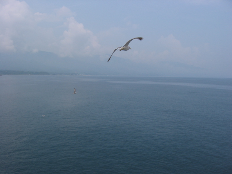 IMG_1603.JPG
