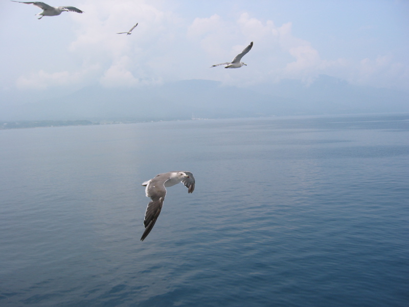 IMG_1613.JPG