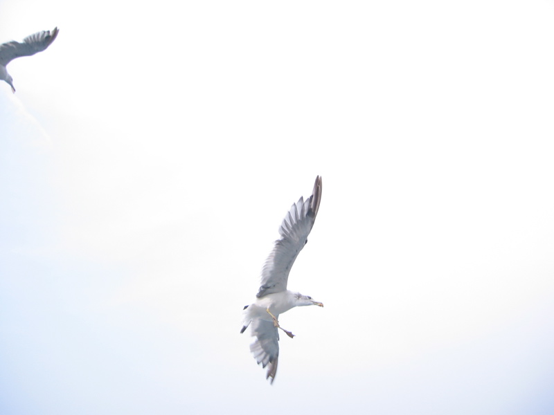 IMG_1625.JPG
