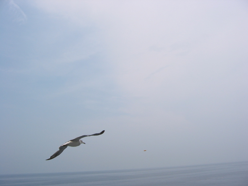 IMG_1628.JPG
