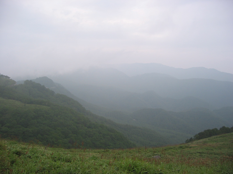 IMG_1692.JPG