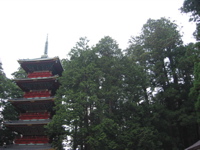 IMG_1237.JPG