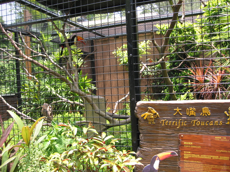 Ocean Park 005