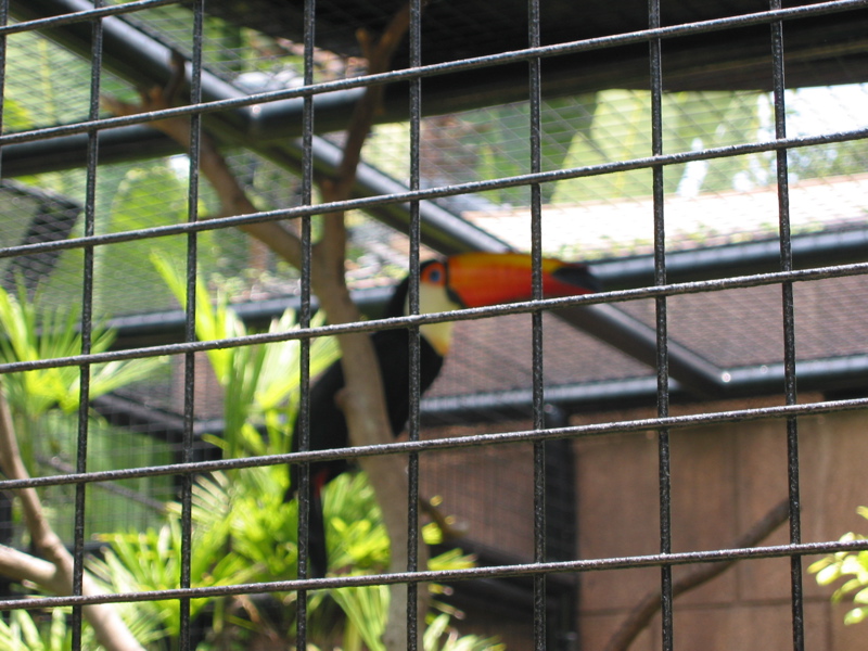 Ocean Park 006