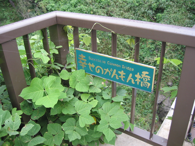 IMG_2571.JPG
