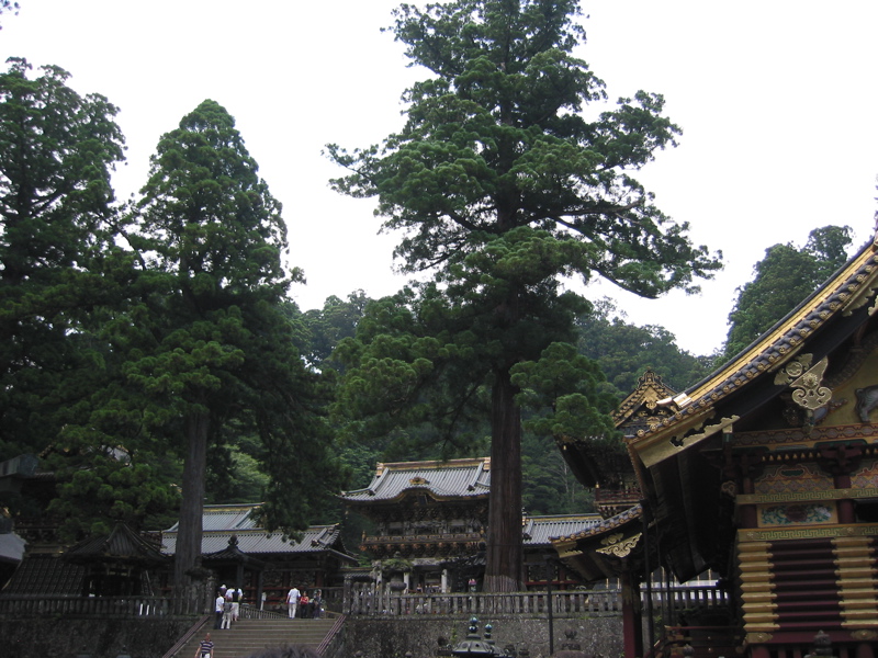 IMG_1185.JPG
