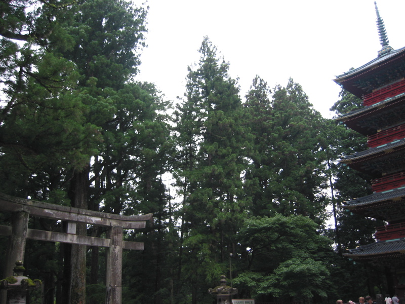 IMG_1236.JPG