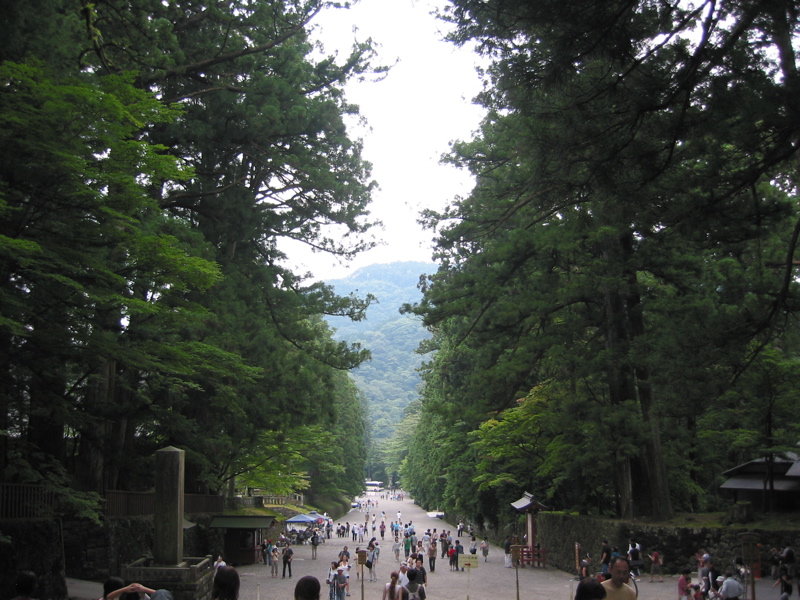 IMG_1240.JPG