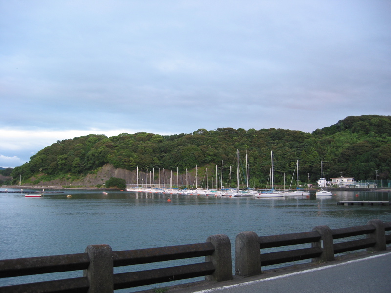 IMG_1343.JPG