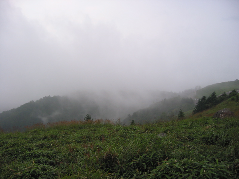 IMG_1699.JPG