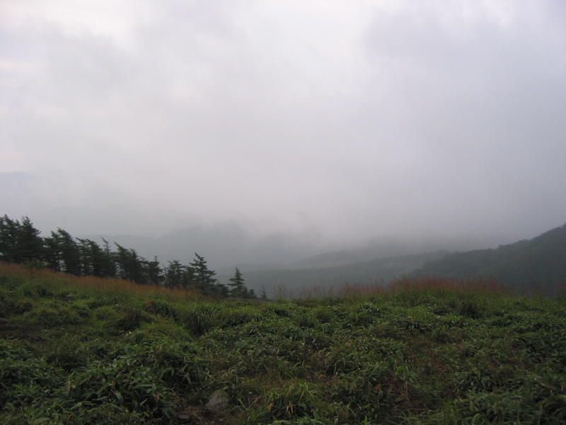 IMG_1700.JPG