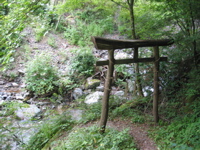 IMG_1718.JPG