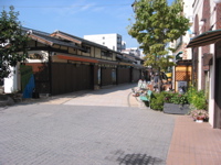 IMG_1743.JPG