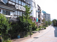 IMG_1745.JPG