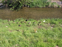 IMG_1751.JPG
